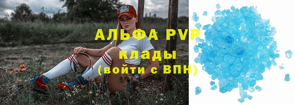 сатива Абинск