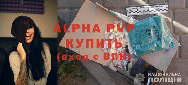 сатива Абинск