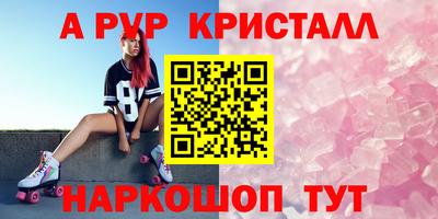 ешки Ставрополь