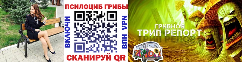 продажа наркотиков  Смоленск  Псилоцибиновые грибы Psilocybe 