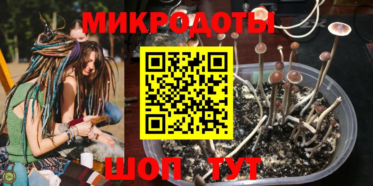 Галлюциногенные грибы Magic Shrooms  Вход с VPN  Смоленск 