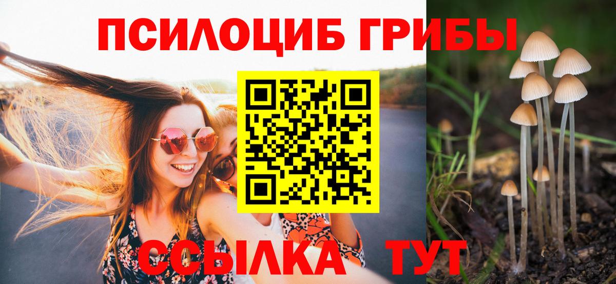 Псилоцибиновые грибы GOLDEN TEACHER Смоленск