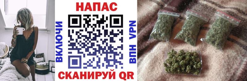 Конопля ГИДРОПОН  Смоленск 